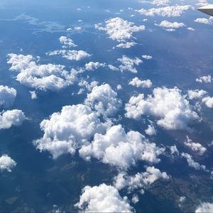 Meet your Posher, Roza